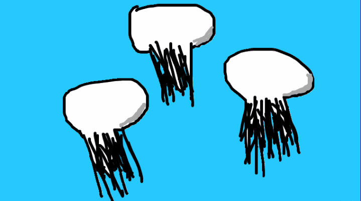 jellyfish